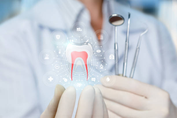 Professional Dental Services in St Petersburg, FL